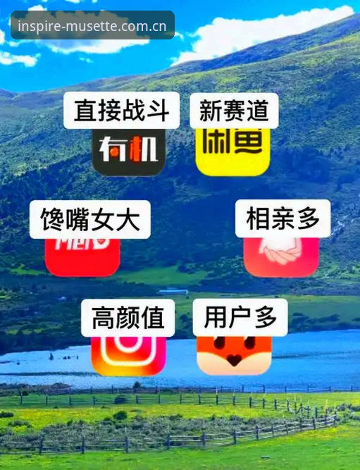 米兰体育官网用户避坑指南：BR2X中国官网登录与APP同步完整教程